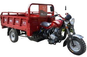 EXPORT 250cc <b>Tricycle</b> Passenger Cargo <b>Motorcycle</b> Fuel Gasoline Three Wheels Motorized Open Body Water Cooled Engine CARGO MOTO - Product Image 2
