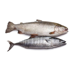 Prix d'usine Poisson congelé emballé en grandes quantités Qualité vérifiée Stocké au froid Convient à l'importation mondiale Distribution prête à l'emploi - Product Image 3