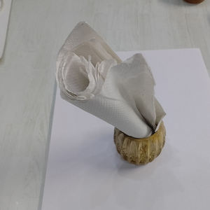 Ensemble de ronds à serviette en résine multicolore de la meilleure conception Vaisselle multiforme pour la maison et le restaurant Cuisine Nouveau style de vaisselle - Product Image 5