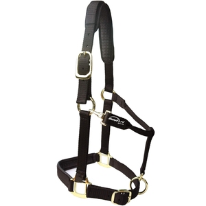 Collier de tête en cuir rembourré de haute qualité laiton noir marron Cob Full Halter avec Logo personnalisé pour l'équitation utilisation équestre - Product Image 2