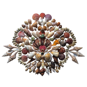 Carcasa espiral surtida natural para decoración DIY, paisaje de Acuario y joyería hecha a mano - Product Image 2