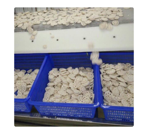 Raíz de loto seca, suministro a granel verificado por la fábrica, entrega de calidad uniforme y estable - Product Image 3