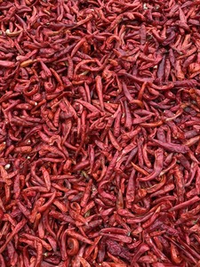 Fournisseur vietnamien de piments séchés pour la distribution à l'exportation avec une production contrôlée et des piments séchés de qualité uniforme - Product Image 2