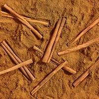 Les bâtons de cannelle sont 100% fabriqués à partir de la nature à haute valeur nutritive Expad Vietnam bâton d'encens à la cannelle de Ceylan