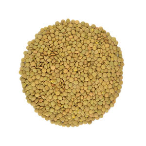 Meilleur prix lentilles vertes entières australiennes sèches de qualité biologique un stock en vrac de 25kg disponible avec emballage personnalisé - Product Image 2