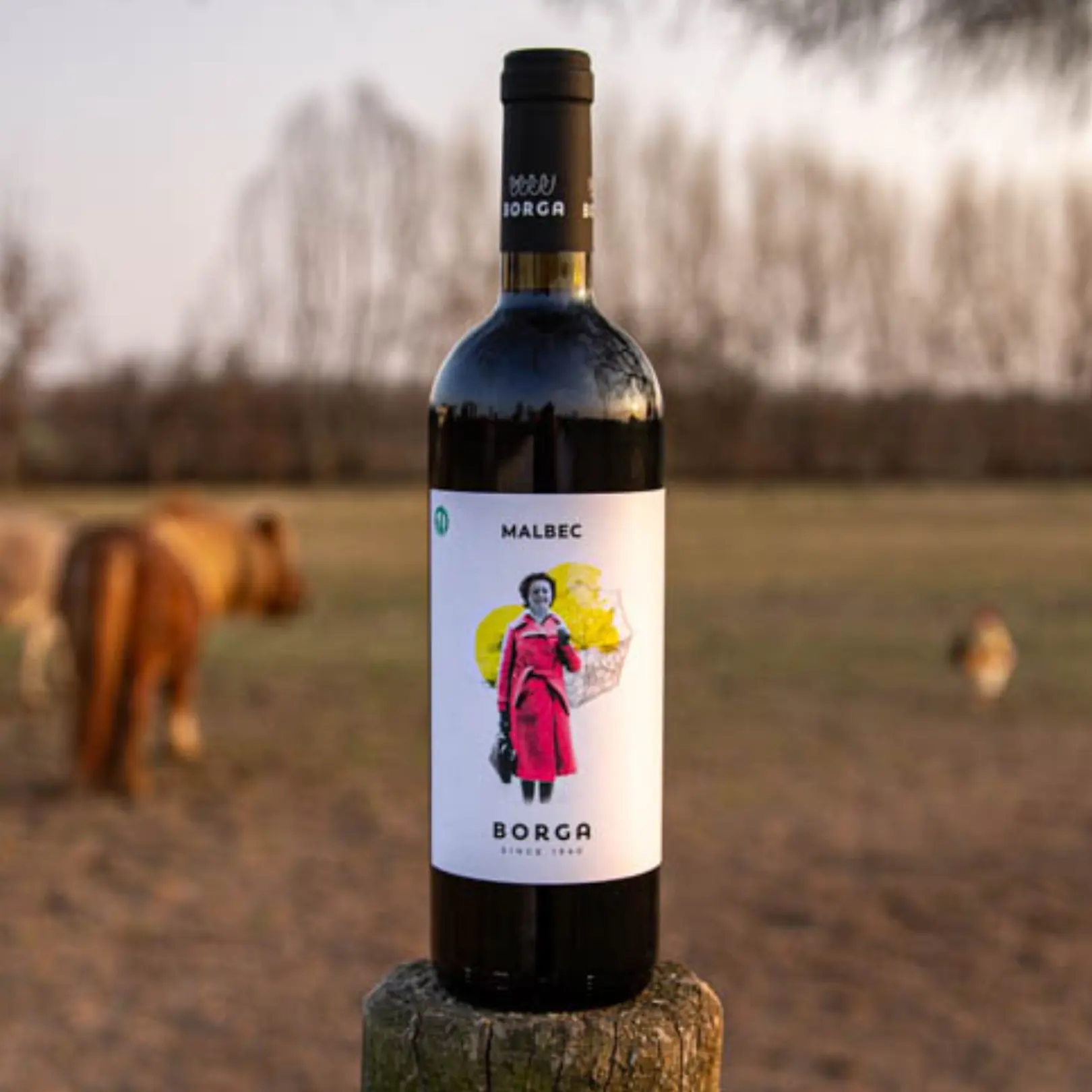 Anggur Italia buatan Italia MALBEC IGT VENETO botol anggur merah untuk grosir meja ekspor anggur