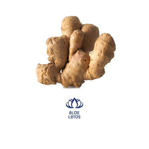 Gingembre frais du VIETNAM - Product Image 3