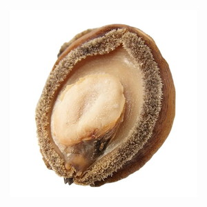 N09 Venta caliente nutritivo 500g abulón seco Vieira mariscos - Product Image 5