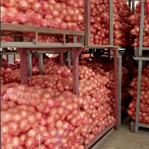 Cebollas orgánicas frescas de calidad cultivadas para un sabor y nutrición de primera calidad - Product Image 1