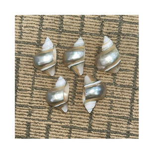 Anillo de Servilleta Decorativo con Conchas Marinas para Mesas de Comedor, Ideal para Decoración con Temática Costera - Product Image 4