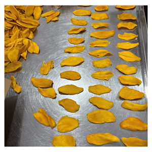 Mango Deshidratado Suave, Rodajas de Mango Maduro para Bolsitas de Refrigerios, Loncheras y Ventas en Supermercados, Hecho en Vietnam - Product Image 6
