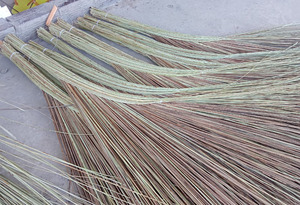 Optimisez le nettoyage de votre jardin avec le balai à noix de coco de qualité supérieure du Vietnam-Outils de haute qualité avec des tiges de noix de coco - Product Image 2
