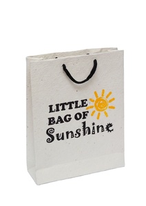 Bolsas de Papel para Compras Impresas Personalizadas con Logotipo |   Bolsas de Papel Kraft Ecológicas al por Mayor Boxit.pk - Product Image 2