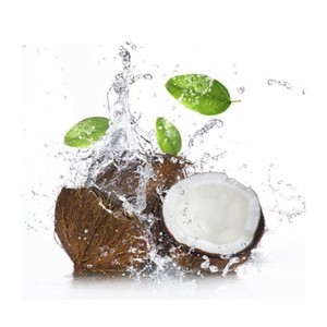 น้ำมะพร้าวสดสำหรับฤดูร้อนนี้/ส่งออกคุณภาพสูงจากเวียดนาม - Product Image 1