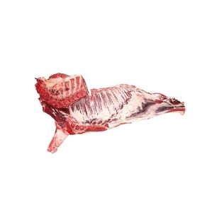 Viande de bœuf biologique congelée, 10 coupes ou carcasse entière / quartier arrière et quartier avant, viande fraîche halal désossée - Durée de conservation de 24 mois - Product Image 3