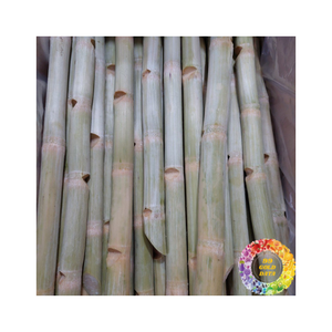 Canne à sucre sucrée congelée Clean Cut scellée sous vide pour l'exportation et un long stockage Idéal pour le jus et le service alimentaire - Product Image 5