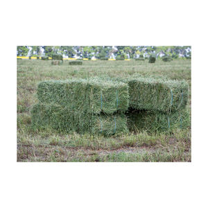 Bahías de heno de alfalfa de calidad/gránulos de alfalfa/cubos de alfalfa deshidratados heno Timothy - Product Image 1