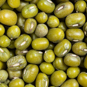 Frijoles Mung secos verdes orgánicos naturales y frescos de primera calidad al por mayor, empaquetados con proteínas saludables para los mercados de alimentos - Product Image 3