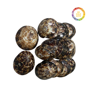 Conchas de Lapa luminosas para decoración, exhibiciones de arte y temas interiores - Product Image 2