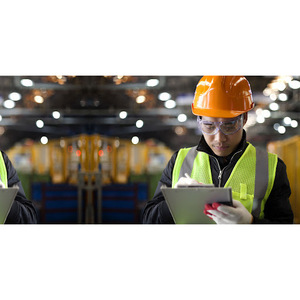 Audit de la qualité des pièces automobiles IQAS et examen de la conformité des processus par un fournisseur certifié axé sur l'inspection des produits - Product Image 3