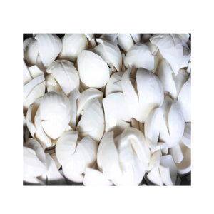 Carne de coco joven congelada de Vietnam Sabor natural y limpio Ideal para aplicaciones comerciales de postres y bebidas - Product Image 1