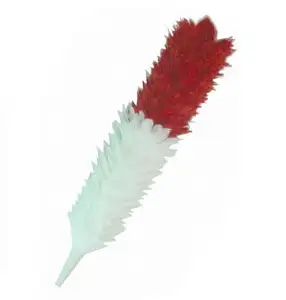 红色羽毛哈克帽子高品质批发价格羽毛羽毛动力提示