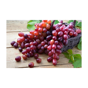 Uvas frescas sin semillas, crujientes y dulces, en racimos, perfectas para bares de jugos, reparto a domicilio, vendedores de productos agrícolas e importadores. - Product Image 2