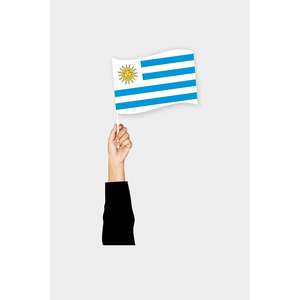 Uruguay <b>Pocket</b> Flag Custom 3x5ft Pennant Digital Printing for Automotive Insurance Available Cotton Nylon <b>Plastic</b> Vinyl Silk - Product Image 6