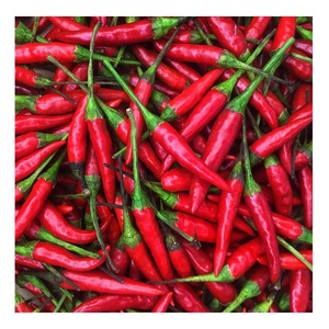 Piment rouge frais - Croustillant et juteux pour les collations et la cuisine - Product Image 2