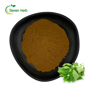 Nhà máy cung cấp số lượng lớn số lượng lớn Urtica dioicae chiết xuất từ rễ stinging gốc cây tầm ma lá chiết xuất bột - Product Image 1