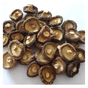 벌크 크기 2-5cm 건조 표고 버섯 수화 건조 버섯 판매 표고 버섯