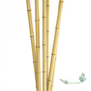 Prix en gros bon marché pour le bâton de bambou flexible soutenant la fleur/bâton de bambou pour le jardin pour les plantes de haute qualité du Vietnam - Product Image 1