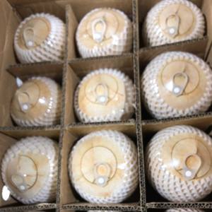 Coco pulido LISTO ABIERTO | Agua dulce natural | Alto valor visual para la exhibición minorista coreana - Product Image 1