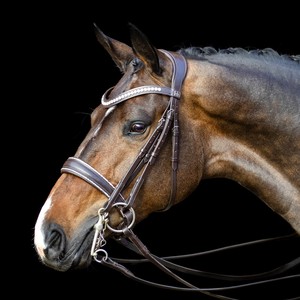 Cheval Anatomiquement Cou Sauver Tetit Décolleté Suédois RH - Product Image 4