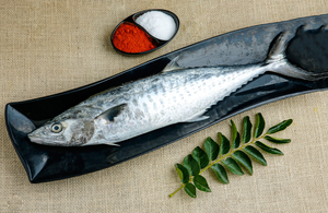 Tropas romanas, el mejor pescado vidente indio, mariscos congelados con 24 meses de vida útil - Product Image 6