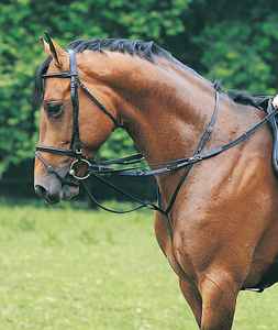 Fabricant de bride en cuir pour cheval Fabricant de bride en cuir véritable pour cheval Fabricant de bride en cuir véritable pour cheval en cuir indien - Product Image 2