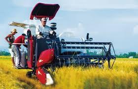 Prix bon marché chaud-Yanmar YH850 D23W 85 HP moissonneuse-batteuse de riz puissante véritable thaïlande efficacité haute Performance Durable - Product Image 4