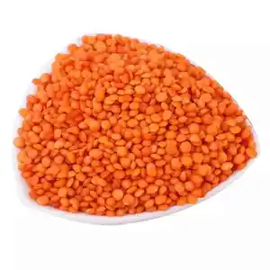 빨간 렌즈 콩 품질 특성은 주간 표준 건강 콩류 렌즈 콩 도매에 해당합니다.