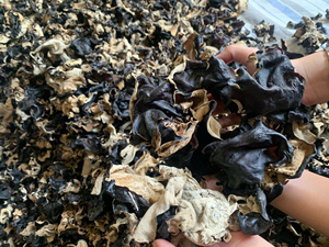 Factory Supply Dried Black Fungus Vietnam Natural Source Ingredient For Culinary Use In Restaurants And Food Brands - Product Image 6
