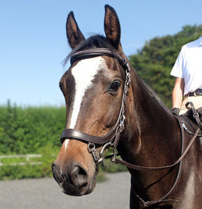 เครื่องสวมศีรษะตัดแบบไม่เปลี่ยนรูปแบบธรรมดาบังเหียนหนังงูม้าสีน้ำตาลคุณภาพสูง - Product Image 2