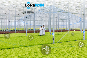 IP67 Outdoor LoRaWAN Sensor <b>Temperature</b> Humidity <b>Data</b> <b>Logger</b> with 8500mAh Battery Long Range for Smart Agriculture - Product Image 6