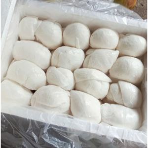 VIANDE DE NOIX DE COCO CONGELÉE DU VIETNAM DE HAUTE QUALITÉ-LE PRIX COMPÉTITIF DE LA VIANDE DE NOIX DE COCO JEUNE/MOYENNE - Product Image 6