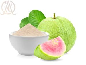 Polvo de guayaba secado por pulverización de grado alimenticio más vendido, Extracto de planta empaquetado en botella de Color verde Natural del exportador indio - Product Image 2