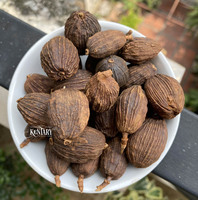 Vietnam 'S Zwarte Kardemom Gedroogde Fruitzaden Intense Smaak Culinaire Lekkernijen Groothandel