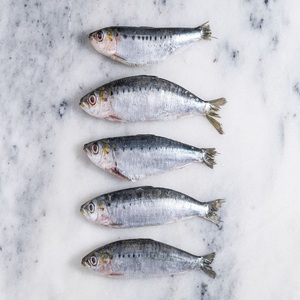 Fast Delivery High Quality Frozen Sardine <b>Fish</b> Low-Sugar Low-Carb Trans-Fat Free 25kg 24-Month Shelf Life Great Cheap Price - Product Image 5