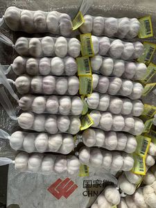 Ajo Fresco Pelado de Shandong, Sinofarm, Almacenamiento en Frío, Nueva Temporada, Venta al por Mayor de Shandong, China - Product Image 2