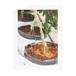 Sacs de culture durables de haute qualité pour le jardinage et l'approvisionnement en vrac de l'agriculture en provenance d'Inde - Product Image 3