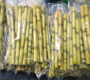 CANNE À SUCRE LONGUE CONGELÉE AVEC LE MEILLEUR PRIX ÉCHANTILLON GRATUIT MEILLEUR VENDEUR AKINA - Product Image 3