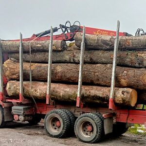 Hạt dẻ bản ghi cho nội thất gỗ dự án hạt dẻ gỗ cho khắc và crafting hạt dẻ bản ghi cho Diy gỗ dự án - Product Image 3