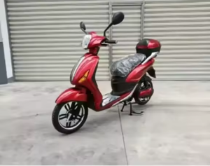 Motocicleta Eléctrica Todoterreno de Alta Calidad, 800W, 60V, Motor Central de 48 Voltios, Cuadro de Acero, Batería de Litio de 60V - Product Image 1